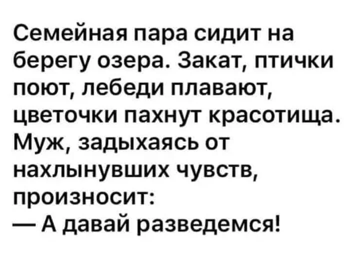 Навеяло... - Романтика, Юмор, Отношения, Развод (расторжение брака), Брак (супружество)