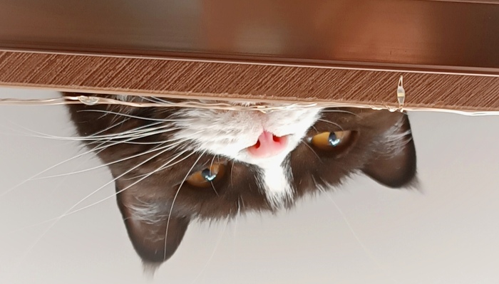 �������