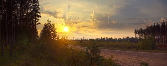 Случайности не случайны - Моё, Живи, Не жалейте