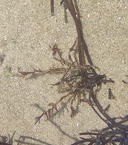 ��� ��� �� ����?