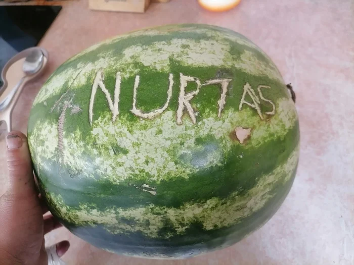 Hello Nurtas - My, Watermelon, Rock painting, Text, Names, Funny