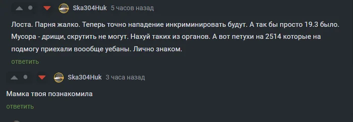 На словах ты Лев Толстой... - Комментарии на Пикабу, Скриншот, Картинка с текстом, Картинки, Неадекват, Негатив, Мат