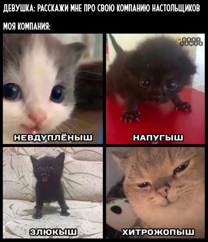 What kind of cat are you today? - Board games, Hobbygames, Picture with text