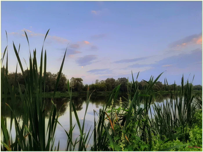 Evening on the river - My, The photo, Nature, Summer, Landscape, Don River, Evening