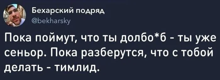 Карьера :) - Зашакалено, Картинка с текстом, Юмор, IT, Бизнес, Мат, Повтор, IT юмор, Скриншот, Тимлид