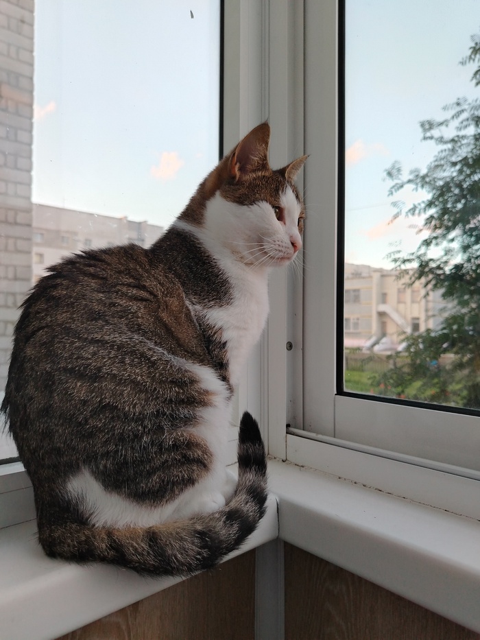 , ! , , , ,  , 