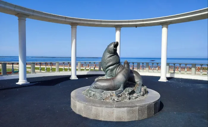 To the sea lions - My, Travels, Sakhalin, Sea lions, Animals, Sea, Longpost