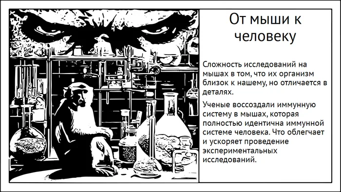 Исследовать механизмы иммунитета теперь куда проще - Моё, Исследования, Научпоп, Наука, Эксперимент, Иммунитет, Длиннопост