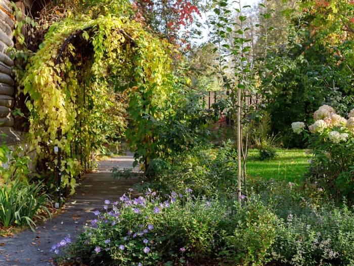 ���-��������� � ���-����� ��������� � ������. ���� ������������ ������� �������. <a href="https://pikabu.ru/story/gde_nakhoditsya_rayskiy_sad_11588624?u=https%3A%2F%2Fvk.com%2Ftarusasecretgarden&t=https%3A%2F%2Fvk.com%2Ftarusasecretgarden%20%2F%20%D0%92%D0%9A%D0%BE%D0%BD%D1%82%D0%B0%D0%BA%D1%82%D0%B5&h=802a931cedaf2fc08d7c5d3340e3c5439a778106" title="https://vk.com/tarusasecretgarden" target="_blank" rel="nofollow noopener">https://vk.com/tarusasecretgarden / ���������</a>.