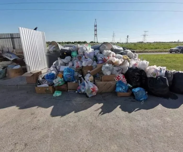 “No matter what yard you look into, there are mountains of stinking garbage” - Pskov residents again received a harsh ultimatum from the garbage sorter - Pskov, Garbage collapse, Indifference, Negative, Garbage reform, Financial problems, Stench, Suffering, Dispute, Longpost, Trash heap