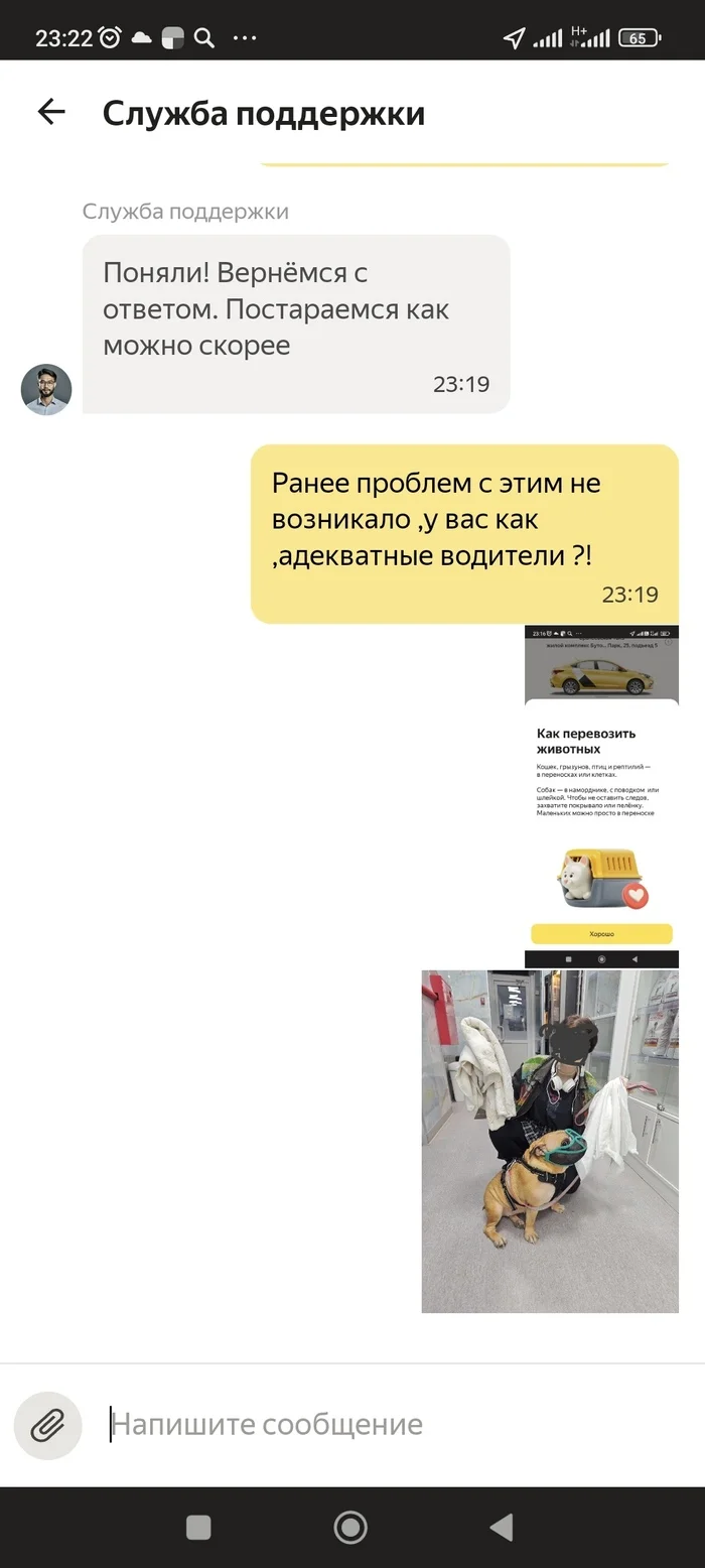 Yandex taxi. Traveling with a dog - My, Yandex., Service, Taxi, Yandex Taxi, Dog, No rating, Mat, Longpost, Negative, A complaint, Support service, Correspondence, Screenshot, Text, A wave of posts