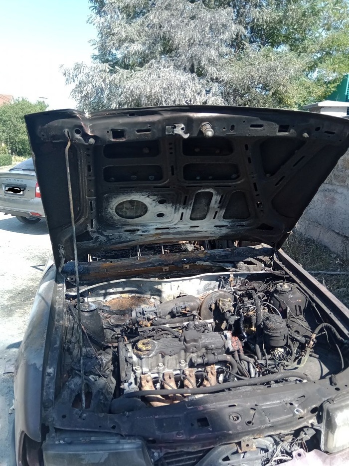  , ,     "  ,  50 . ,    ,       ". 