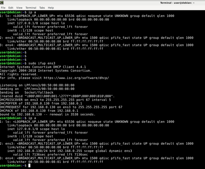 Смотрим настройки сетевых интерфейсов после передергивания