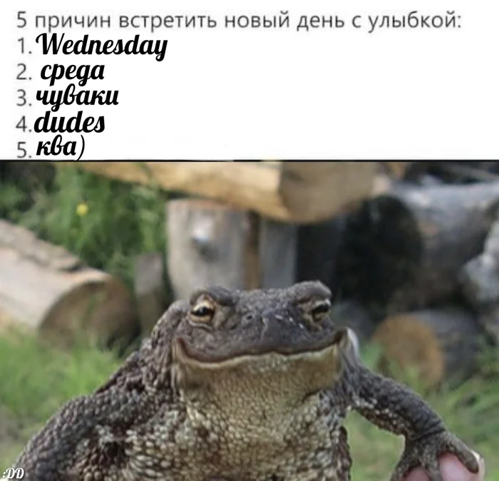 Жабреда, мои чуваки. =) - Моё, Мемы, Среда, It Is Wednesday My Dudes, Картинка с текстом