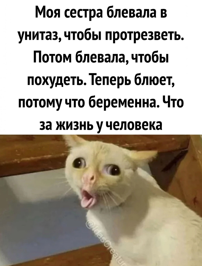 , , ,   , 
