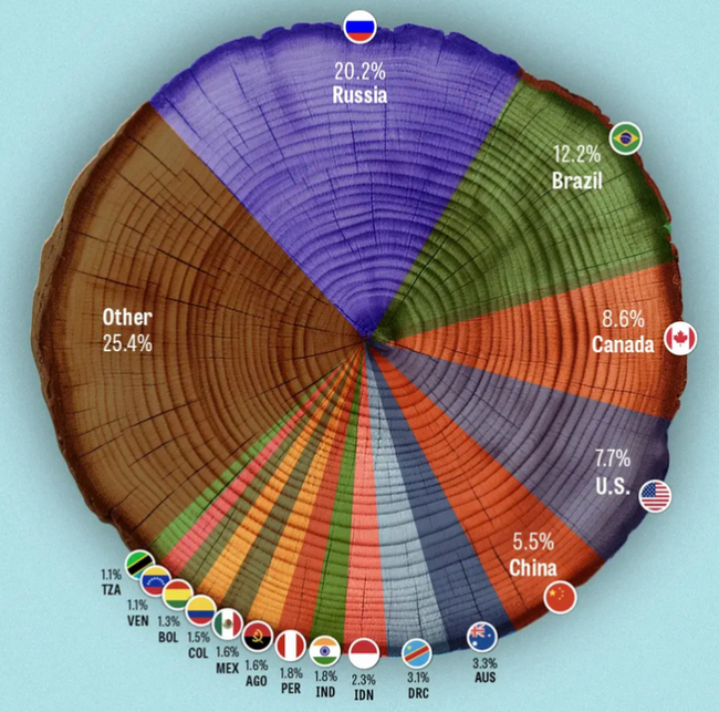 Who has the most forest? - My, Investments, Stock