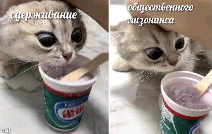 :DD