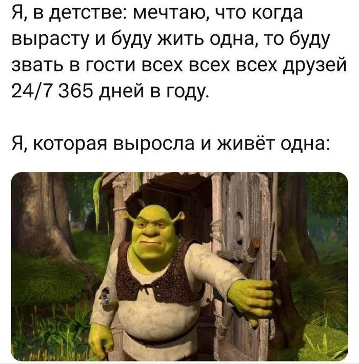 My swamp - Humor, Picture with text, Memes, Shrek, Telegram (link), Friends, Introvert, Adulthood