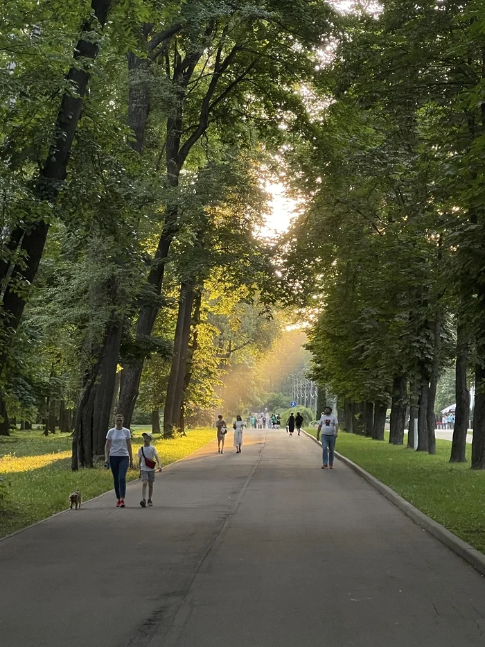 Центральный парк имени П. П. Белоусова. Город Тула - Моё, Тула, Парк, Вечер, Мобильная фотография, Лето