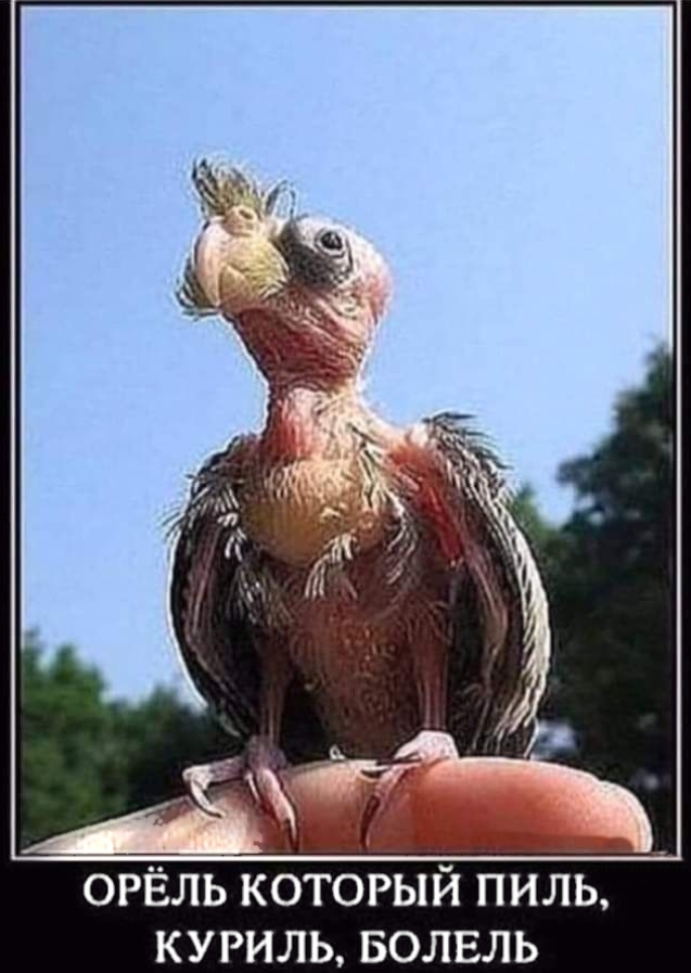 ������ ����������...