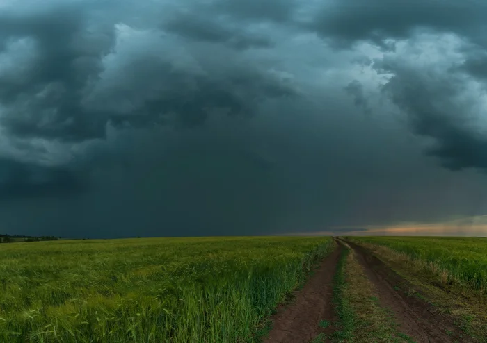 Thunderstorm is nearby - My, Thunderstorm, Landscape, Field, Road, Wheat, Chuvashia, The photo