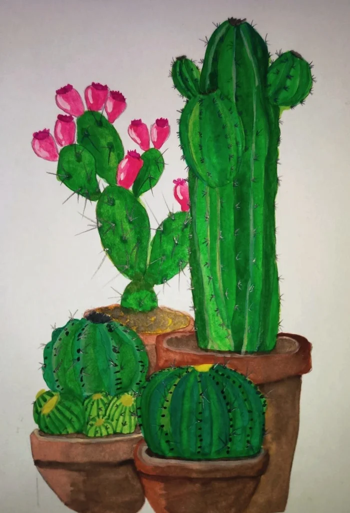 Cacti in pots) - My, Watercolor, Sketching, Not an artist, Cactus, Blooming cacti, Painting, Lovers