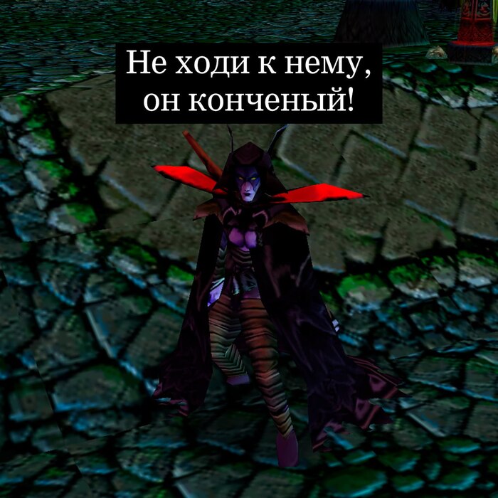  Warcraft 3, Warcraft,   , ,  , ,   , Hamster Kombat, , 