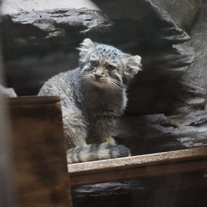 Почему так грустно?