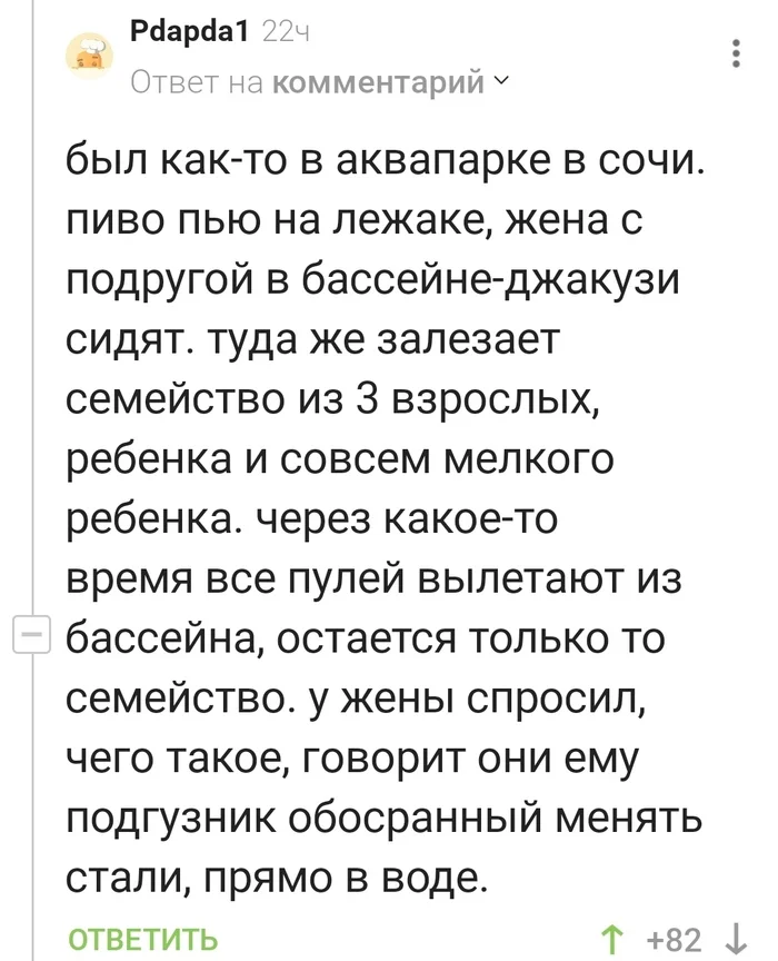 Откуда берутся такие незамутненные разумы? - Отдых, Бассейн, Памперсы, Комментарии на Пикабу, Скриншот