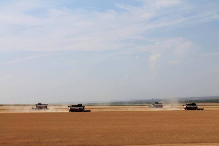 Quartet - My, The photo, Landscape, Сельское хозяйство, Village, Combine harvesters, Rostov region