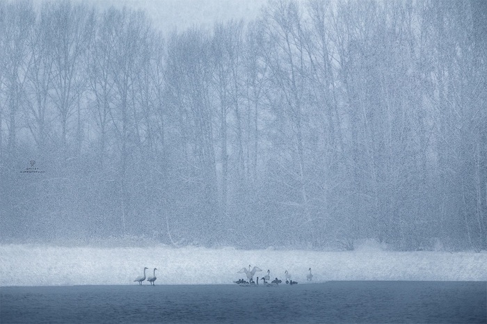 ��������� (�������) �����. ��������� ����. ����: <a href="https://pikabu.ru/story/udivitelnoe_nezamerzayushchee_lebedinoe_svetloe_ozero_gde_nakhoditsya_i_kak_proekhat_11592022?u=https%3A%2F%2Fvk.com%2Fdkupratsevich&t=%D0%94%D0%BC%D0%B8%D1%82%D1%80%D0%B8%D0%B9%20%D0%9A%D1%83%D0%BF%D1%80%D0%B0%D1%86%D0%B5%D0%B2%D0%B8%D1%87%20%2F%20%D0%92%D0%9A%D0%BE%D0%BD%D1%82%D0%B0%D0%BA%D1%82%D0%B5&h=a9d6bfe2f1dafbad853de5b7aa803ff8fb955ba2" title="https://vk.com/dkupratsevich" target="_blank" rel="nofollow noopener">������� ���������� / ���������</a>