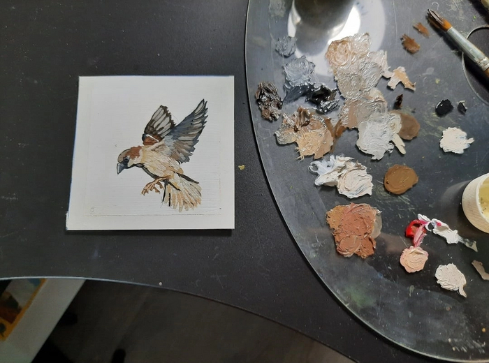 Птичка маслом на бумаге