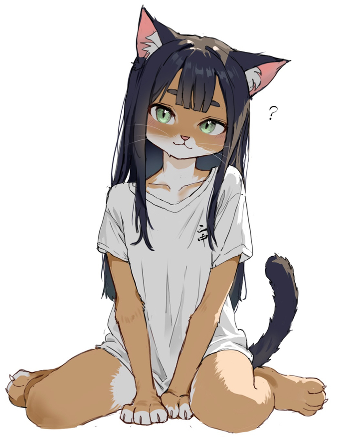 Kitten , , , Furry Cat