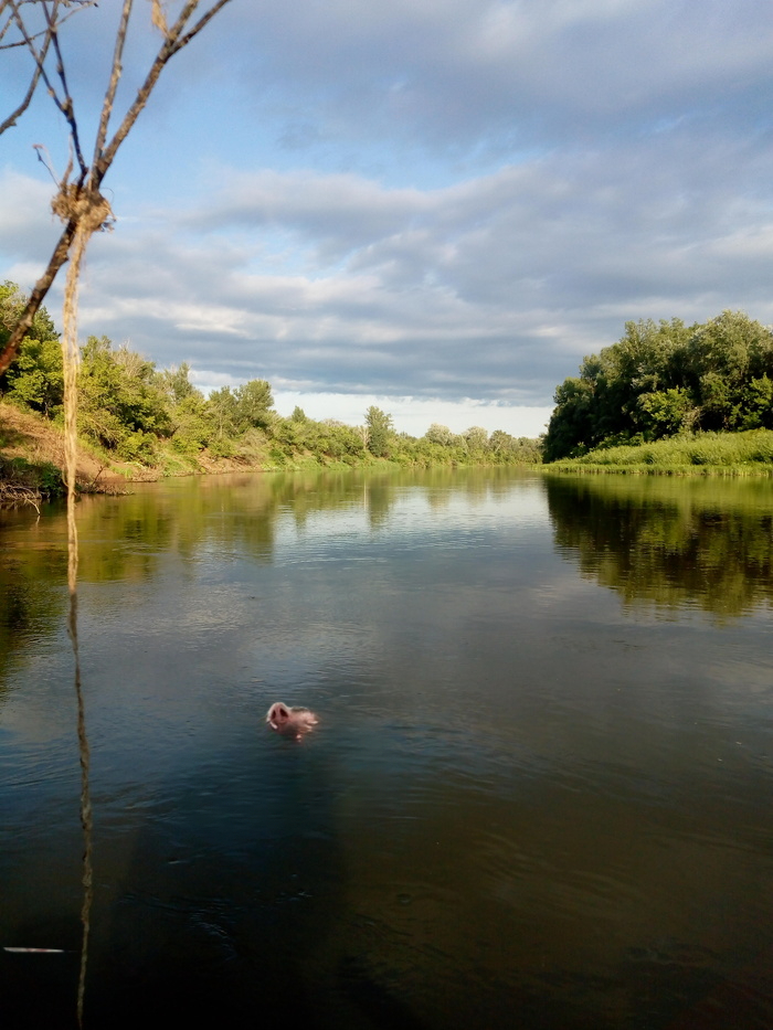 Grandfather of Ko.Rom and Olza - My, Olz777, Girls, Humor, Nostrils, Collage, IA Panorama, Grandfather Mazai, cat, River, Fishing, Photoshop, Longpost