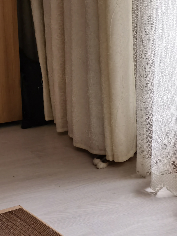 ����� ������ ����������