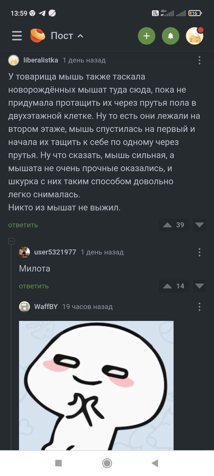   , , ,  , ,   