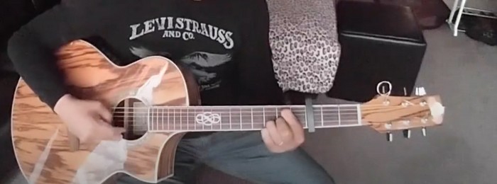 Может кто сказать что за гитара на фото?