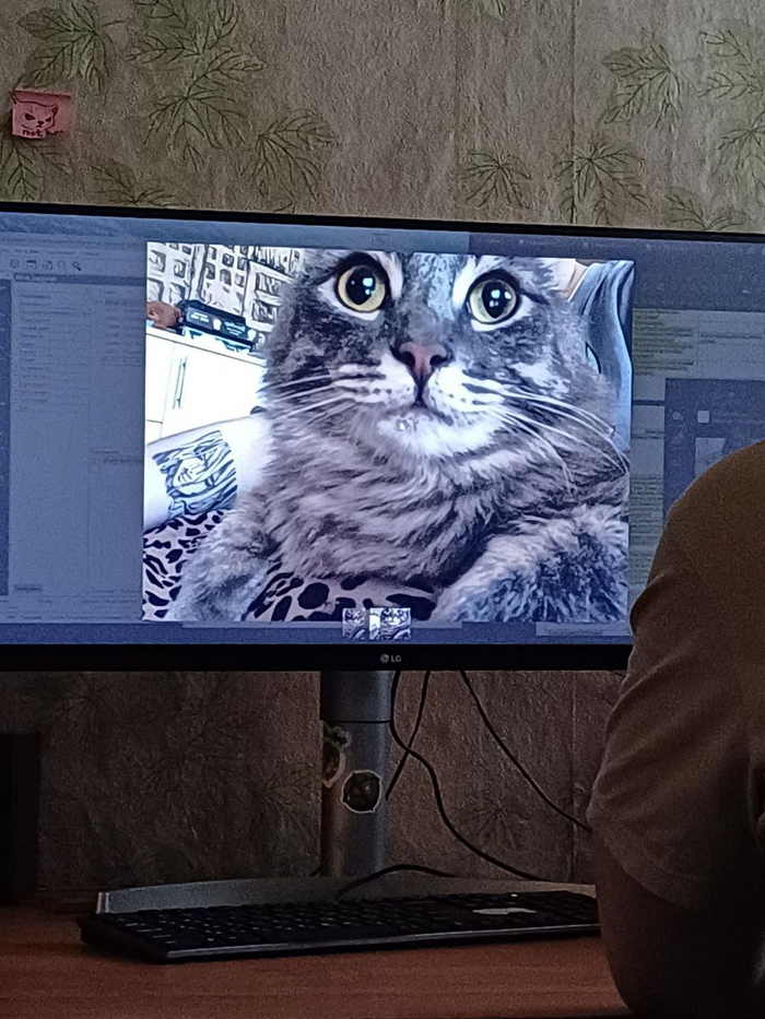 Выбираю что опубликовать