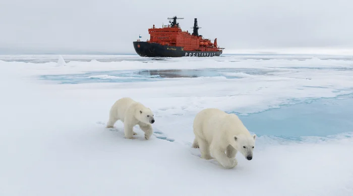 The search for organisms that destroy plastic will begin in the Arctic - Scientists, The science, Research, Ecology, Biology, Garbage, Plastic, Arctic