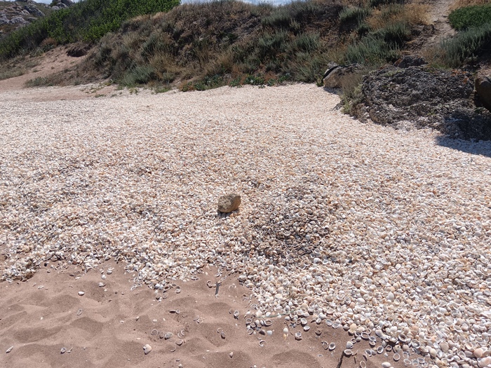 �������� ���� 