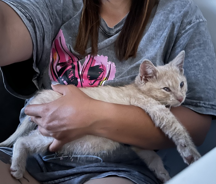 ������� � ������ ���� ������