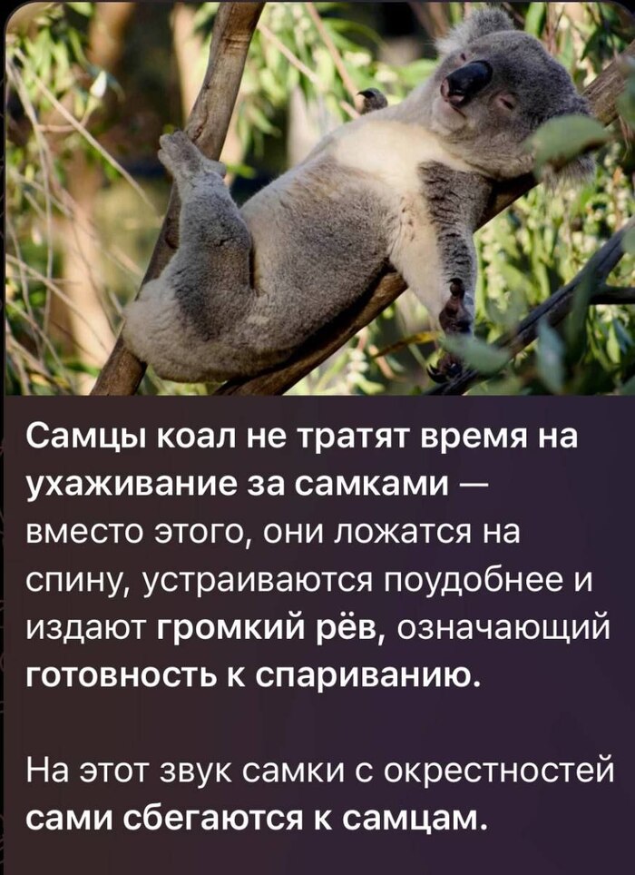      ,   ,   , , 