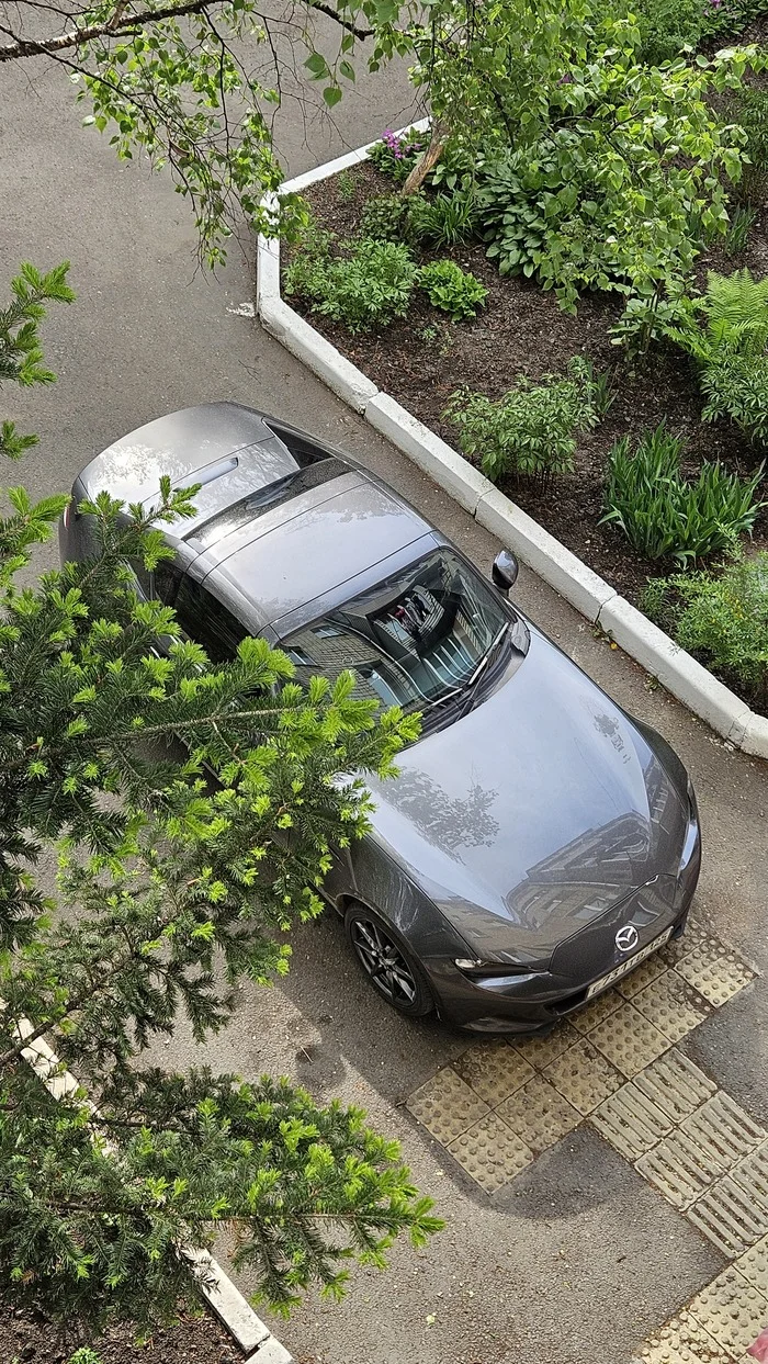 Miata among greenery - My, Mazda, Mazda MX-5, Japanese car industry, Auto, The photo