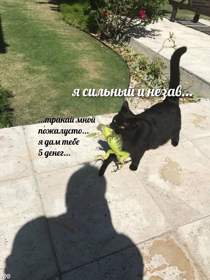 :DD   , , , , , 