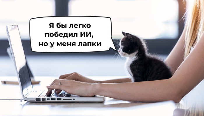  :      , 