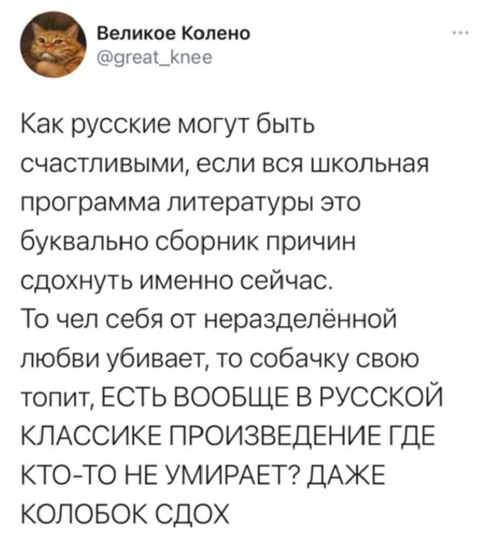 Ну вот так вот - Картинка с текстом, Мемы, Скриншот, Русская литература, Twitter, Негатив