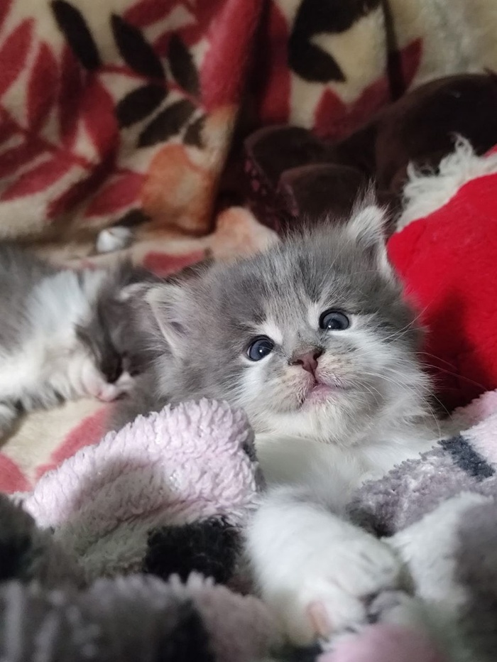 Жмых #1, подпольная кличка "Вафля"