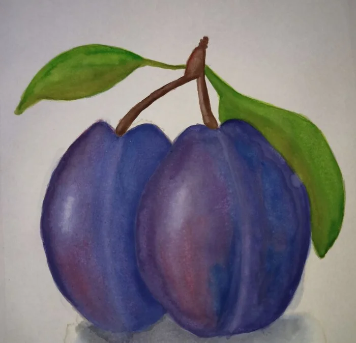 Plums) - My, Watercolor, Painting, Not an artist, Plum, Art, Lovers