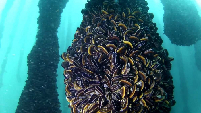 � ����� ����� � ��������� �������������� ���������� ��������� ��������� ����