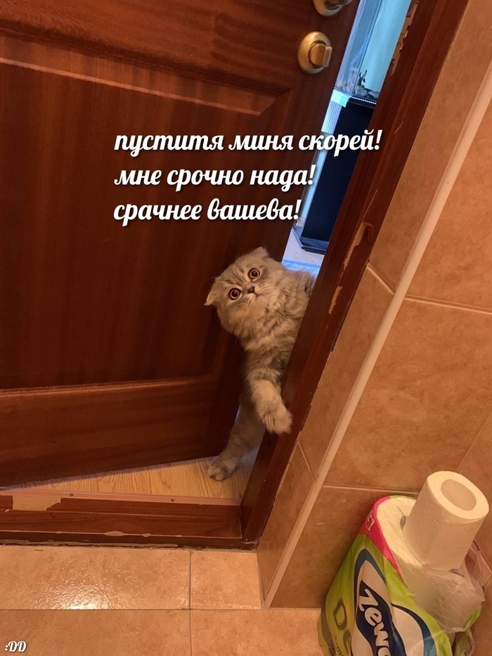 :DD ,   , , , ,  ,  